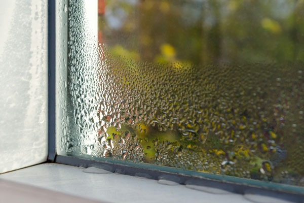 foggy panes portland oregon clear choice home window repair