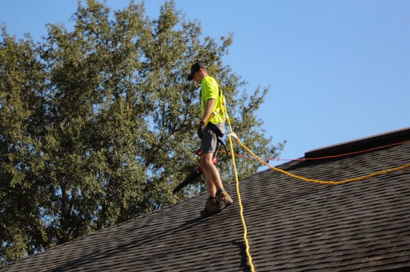 Ask Help to Professional: Spot and Fix a Leak in Your Roof